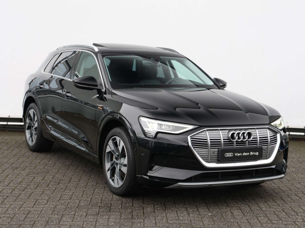 Audi e-tron 50 quattro 230 kW image number 2