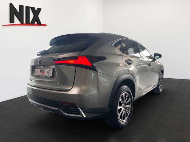 Lexus NX 300 H 145 kW image number 4