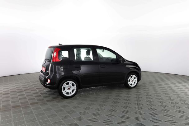 Fiat Panda 1.0 Hybrid 51 kW image number 2