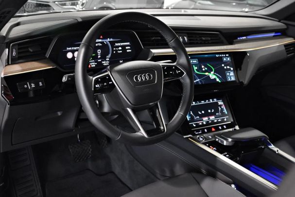 Audi e-tron 55 quattro Advanced 300 kW image number 10