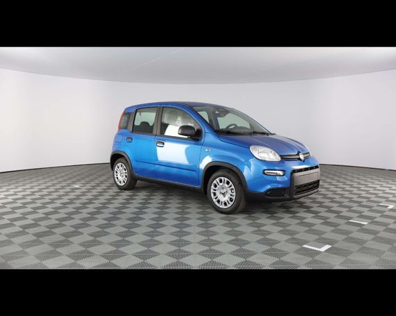 Fiat Panda 51 kW image number 6