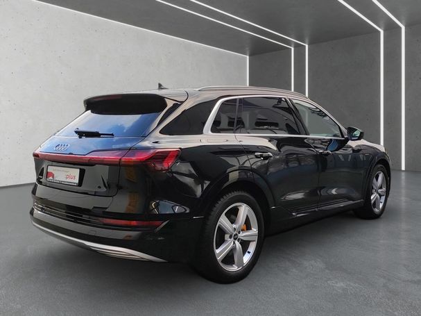 Audi e-tron 50 S-line 230 kW image number 6