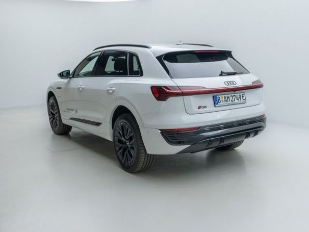 Audi Q8 50 e-tron S-line 250 kW image number 3