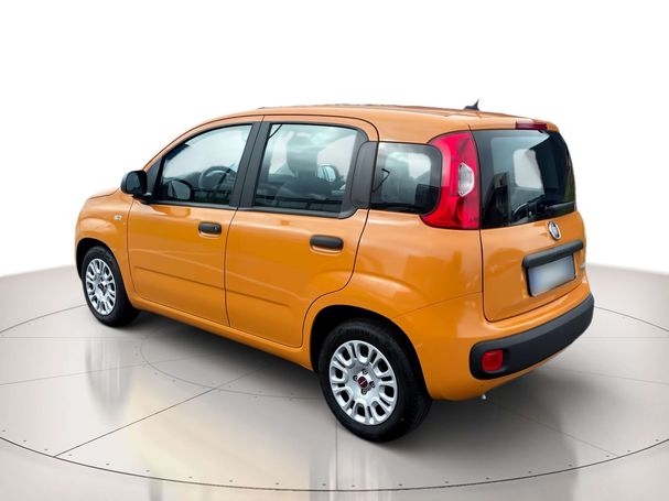 Fiat Panda 1.0 Hybrid City Life 51 kW image number 16