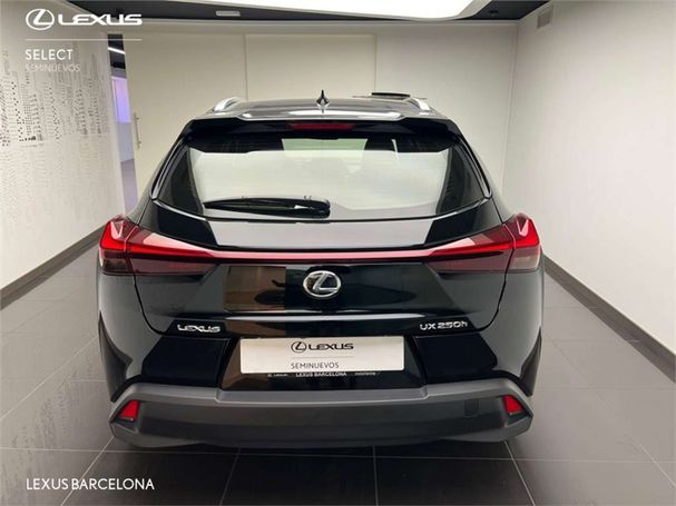 Lexus UX 135 kW image number 13