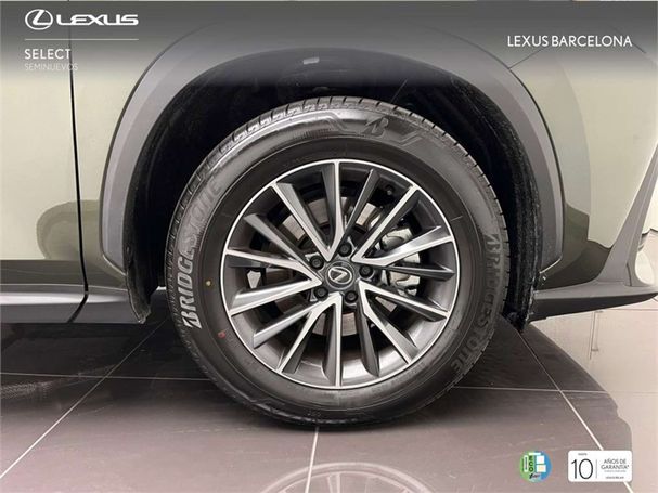 Lexus NX 350 h 179 kW image number 9