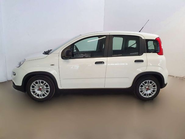 Fiat Panda 1.0 Hybrid 51 kW image number 5