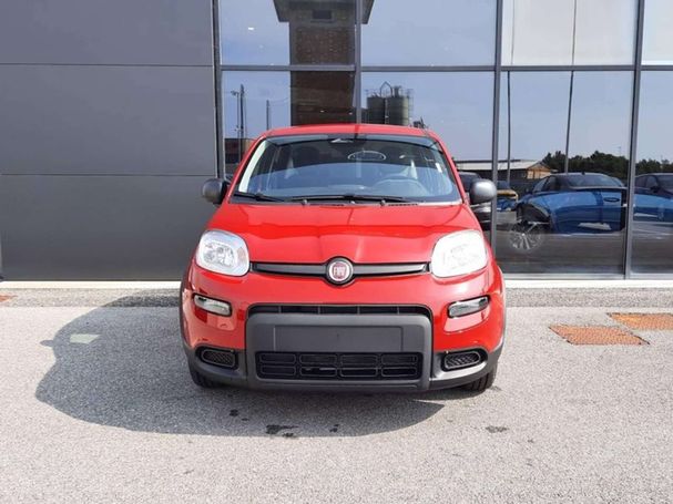 Fiat Panda 51 kW image number 2