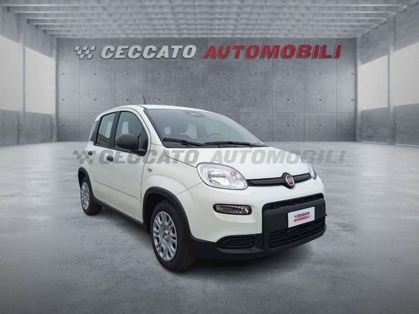 Fiat Panda 51 kW image number 4