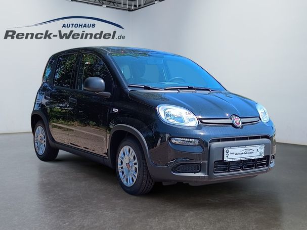 Fiat Panda 1.0 GSE 51 kW image number 7