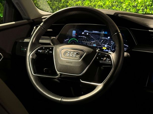 Audi e-tron 50 quattro 230 kW image number 27