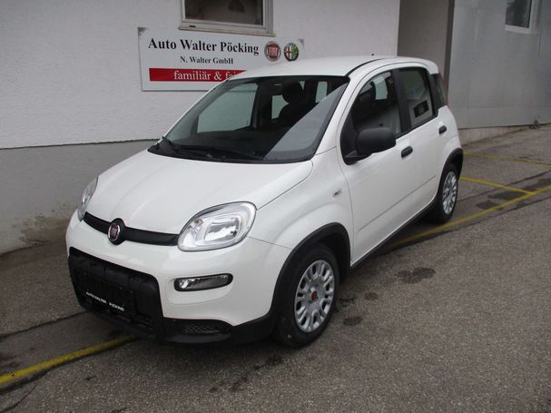 Fiat Panda 1.0 Hybrid 51 kW image number 1