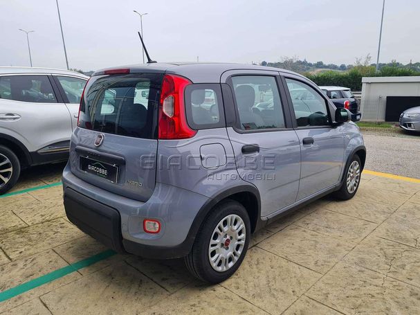 Fiat Panda 51 kW image number 5