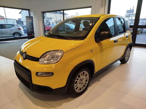 Fiat Panda 51 kW image number 1