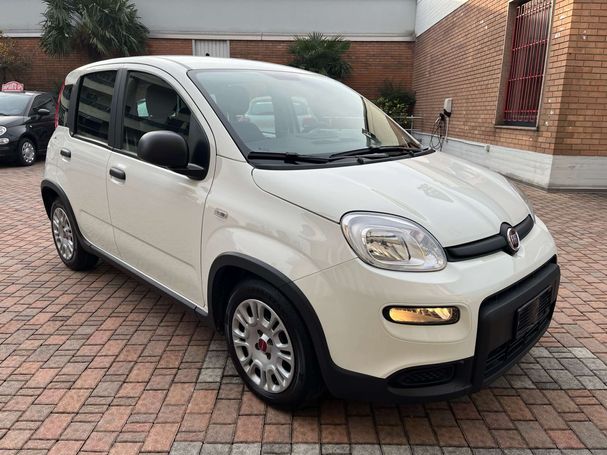 Fiat Panda 1.0 Hybrid 51 kW image number 2