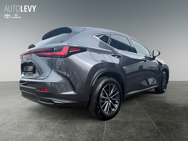 Lexus NX 450 h 227 kW image number 6