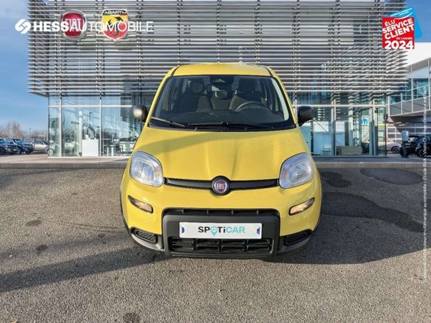 Fiat Panda 52 kW image number 5