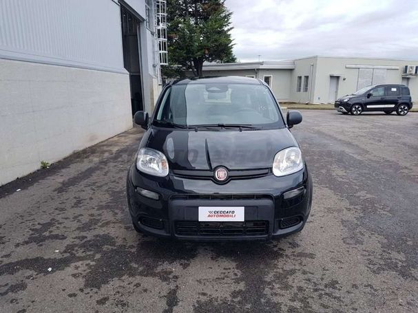 Fiat Panda 51 kW image number 2