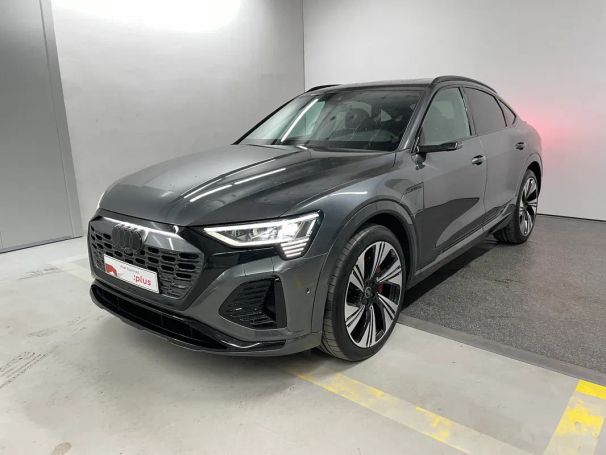 Audi Q8 300 kW image number 1