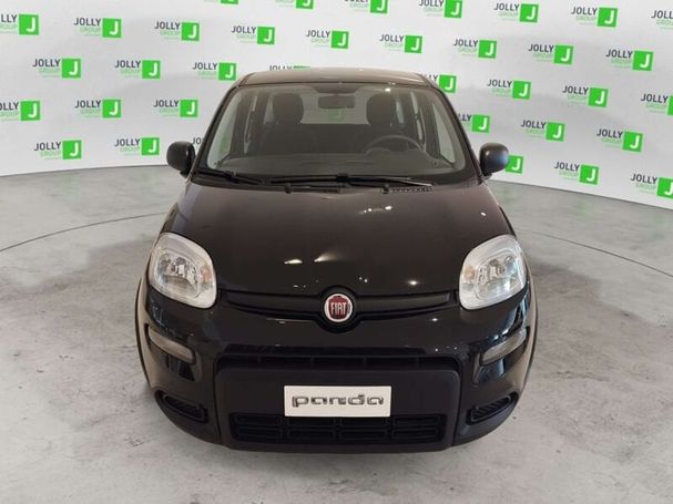 Fiat Panda 1.0 Hybrid 51 kW image number 2