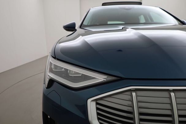 Audi e-tron 55 quattro Business 300 kW image number 27