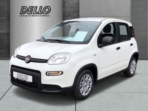 Fiat Panda 51 kW image number 1