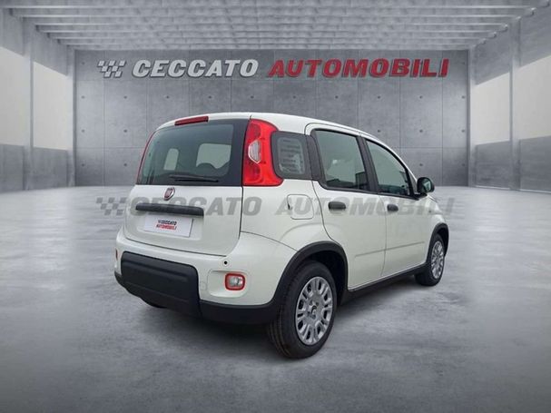 Fiat Panda 51 kW image number 5