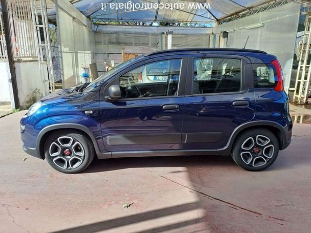 Fiat Panda 1.0 Hybrid City Life 51 kW image number 5