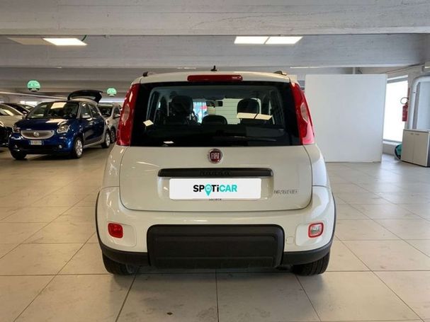 Fiat Panda 1.0 Hybrid City Life 51 kW image number 3