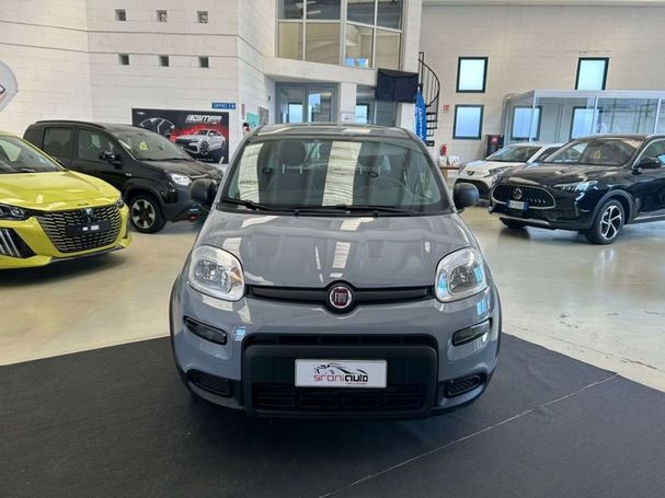 Fiat Panda 1.0 Hybrid 51 kW image number 2