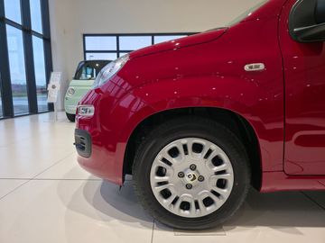 Car image 19
