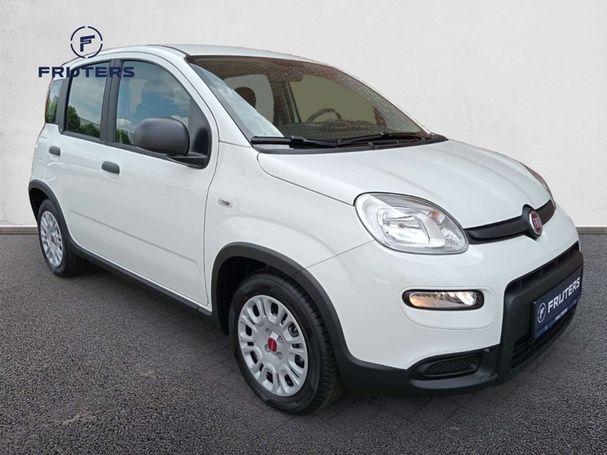 Fiat Panda 1.0 Hybrid 51 kW image number 2