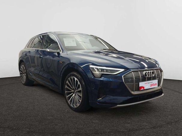 Audi e-tron 55 quattro Advanced 300 kW image number 7