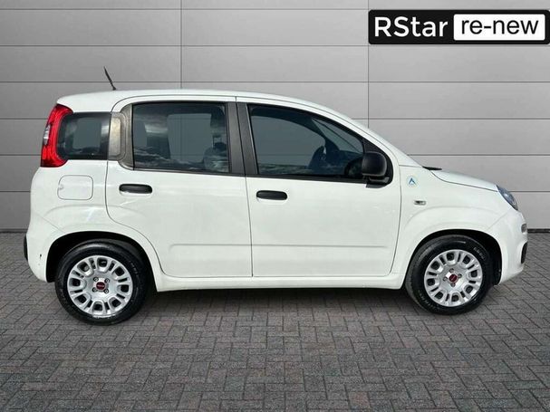 Fiat Panda 1.0 Hybrid Easy 51 kW image number 4