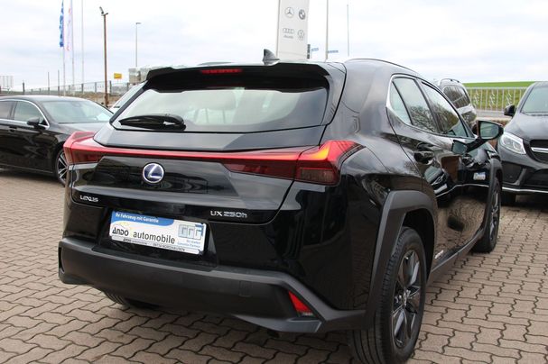 Lexus UX 250h 135 kW image number 6