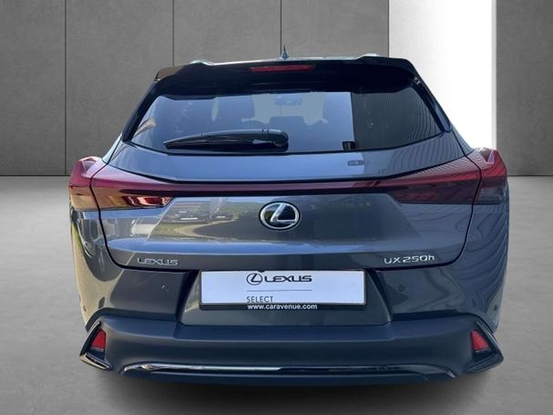 Lexus UX 250h 135 kW image number 9