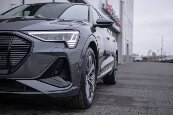 Audi e-tron 230 kW image number 6