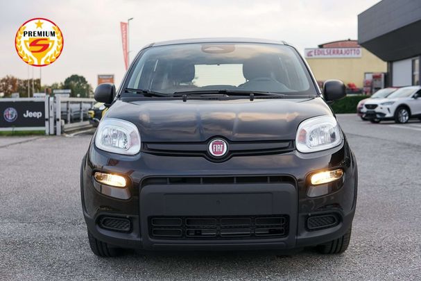 Fiat Panda 51 kW image number 3