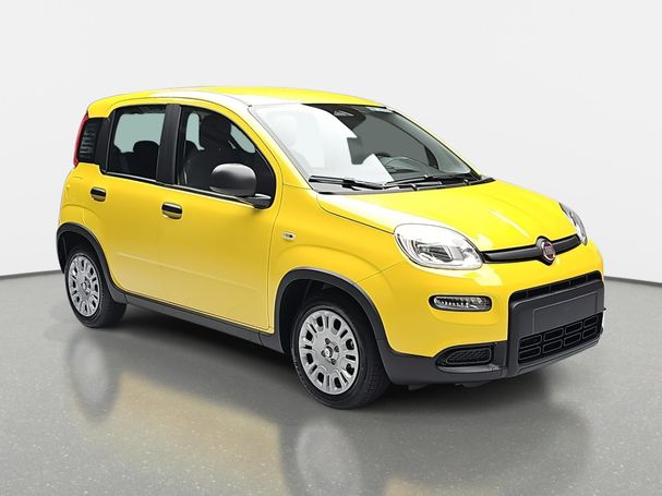 Fiat Panda 51 kW image number 3