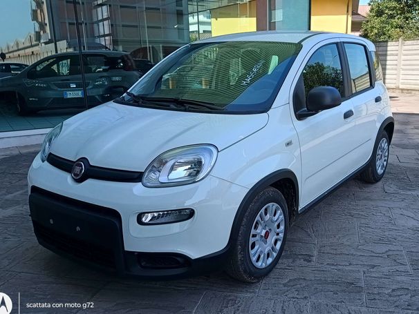 Fiat Panda 51 kW image number 1