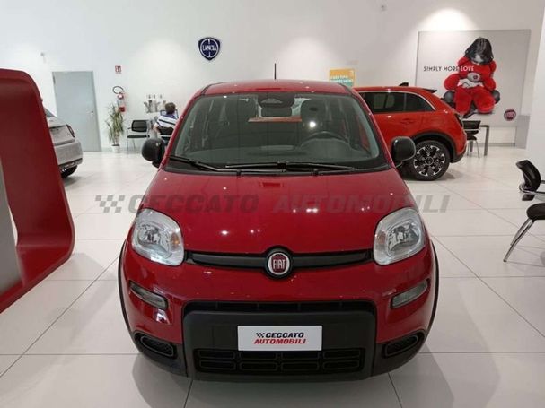 Fiat Panda 51 kW image number 2