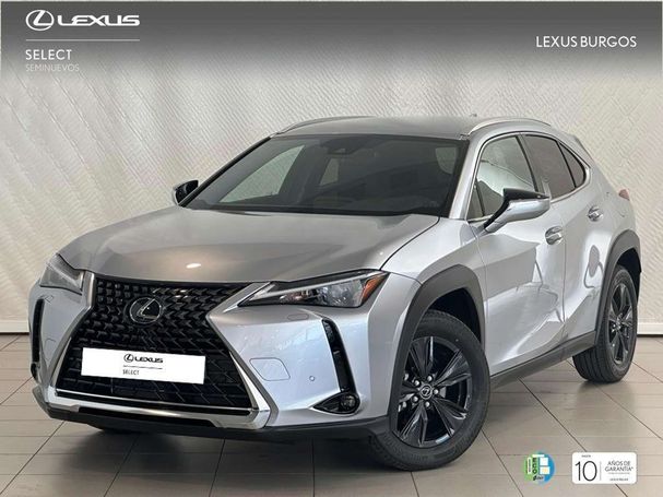 Lexus UX 135 kW image number 1