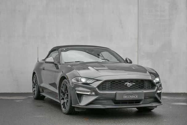 Ford Mustang Convertible 2.3 EcoBoost 213 kW image number 4