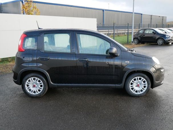 Fiat Panda 51 kW image number 4