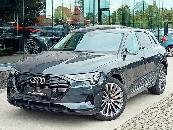 Audi e-tron 55 quattro 300 kW image number 1