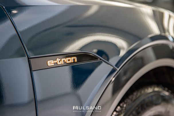 Audi e-tron 50 quattro Advanced 230 kW image number 25