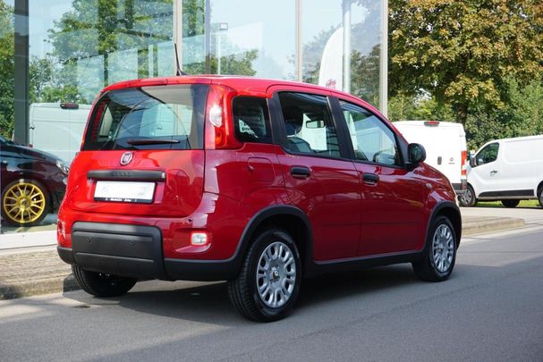 Fiat Panda 51 kW image number 3