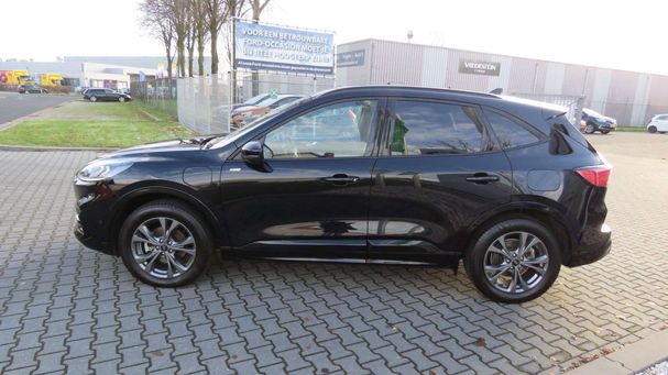 Ford Kuga 2.5 ST-Line X 165 kW image number 3