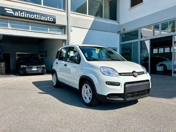 Fiat Panda 1.0 Hybrid 51 kW image number 3