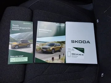 Car image 30